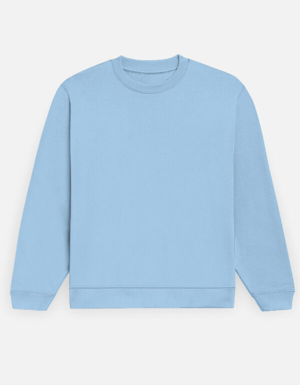 Calm Comfort: Premium Plain Baby Blue Sweatshirt